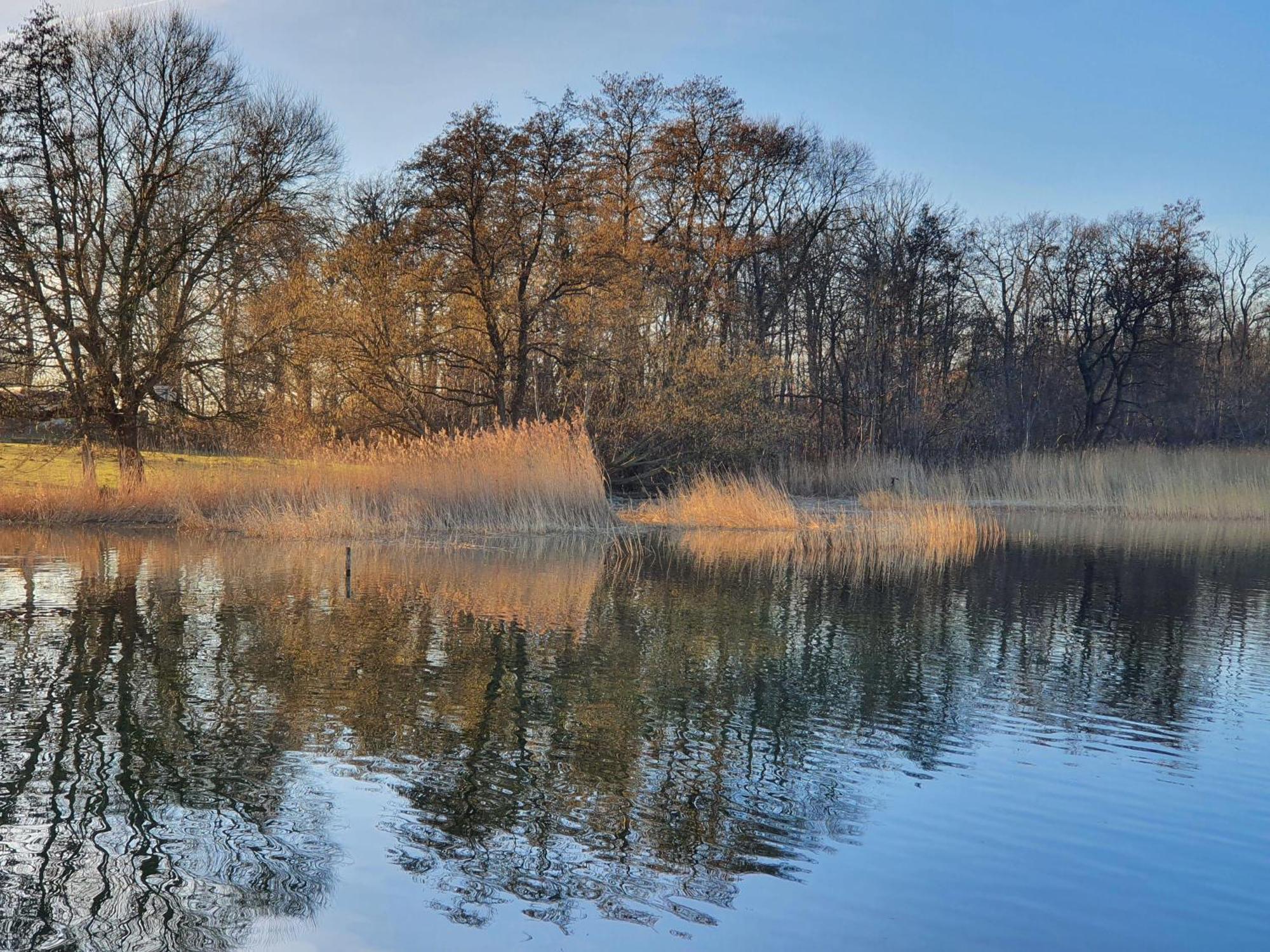 Idyllisches-Blockbohlenhaus-Mit-Eigenem-Garten-Und-Sauna-Zum-Wohlfuehlen Martensrade Extérieur photo